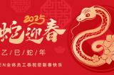 辭舊迎新，蛇舞華章丨深圳容金科技全體員工祝您新春快樂(lè)！
